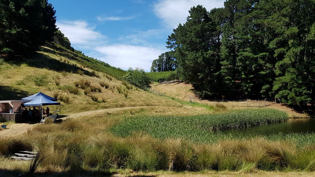 Design Pattern in Android